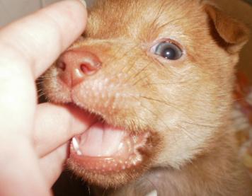 1498548995126156.jpg 2.JPG