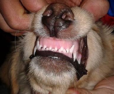 1498549016254385.jpg 3.JPG