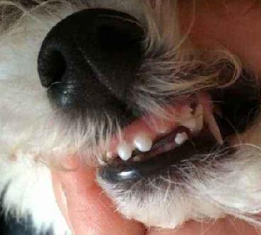 1498549027969574.jpg 4.JPG