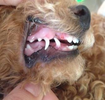 1498549039998517.jpg 5.JPG