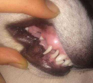 1498549048463222.jpg 6.JPG