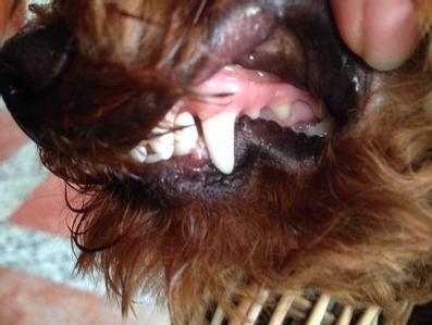 1498549067368785.jpg 7.JPG