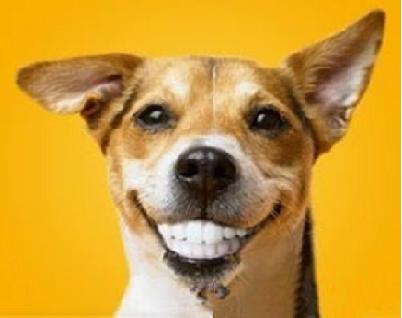 1498549138802348.jpg 9.JPG